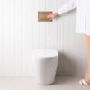 Angled In-Wall Toilet With Rectangle Antique Brass Buttons