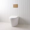 Angled In-Wall Toilet With Rectangle Antique Brass Buttons