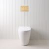 Angled In-Wall Toilet With Rectangle Brushed Brass Buttons