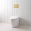 Angled In-Wall Toilet With Rectangle Brushed Brass Buttons