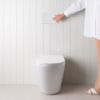 Angled In-Wall Toilet With Rectangle Matte White Buttons