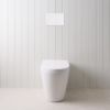 Angled In-Wall Toilet With Rectangle Matte White Buttons