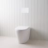 Angled In-Wall Toilet With Rectangle Matte White Buttons