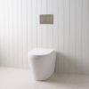 Angled In-Wall Toilet With Rectangle Stainless Steel Buttons
