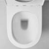Angled In-Wall Toilet With Rectangle Stainless Steel Buttons