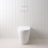 Angled In-Wall Toilet With Rectangle Chrome Buttons