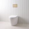 Angled In-Wall Toilet With Rectangle Warm Brushed Nickel Buttons