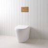 Angled In-Wall Toilet With Round Antique Brass Buttons