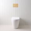 Angled In-Wall Toilet With Round Brushed Brass Buttons