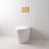 Angled In-Wall Toilet With Round Brushed Brass Buttons