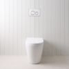 Angled In-Wall Toilet With Round Chrome Buttons