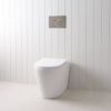 Angled In-Wall Toilet With Round Gunmetal Buttons