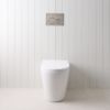 Angled In-Wall Toilet With Round Gunmetal Buttons