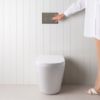 Angled In-Wall Toilet With Round Stainless Steel Buttons