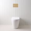 Angled In-Wall Toilet With Round Warm Brushed Nickel Buttons