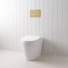 Angled In-Wall Toilet With Round Warm Brushed Nickel Buttons