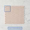 Broadwater Pink Gloss Penny Round Mosaic Tile