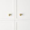 Cabinetry Knob Brushed Brass