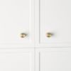 Cabinetry Knob Warm Brushed Nickel