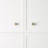 Cabinetry Knob Warm Brushed Nickel
