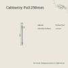 Cabinetry Pull 250mm Brushed Brass