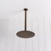 Ceiling Shower Arm and Head Antique Brass