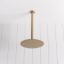 Ceiling Shower Arm and Head Brushed Brass