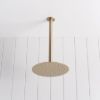 Ceiling Shower Arm and Head Warm Brushed Nickel