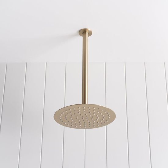 Ceiling Shower Arm and Head Warm Brushed Nickel
