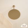 Ceiling Shower Arm and Head Warm Brushed Nickel