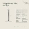 Ceiling Shower Arm and Head Warm Brushed Nickel