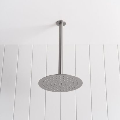 Ceiling Shower Arm and Head Stainless Steel