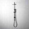 Combination Shower + Straight Sprayer Gunmetal