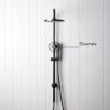 Combination Shower + Straight Sprayer Gunmetal