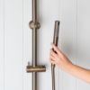 Combination Shower + Straight Sprayer Antique Brass
