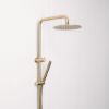 Combination Shower + Straight Sprayer Brushed Brass