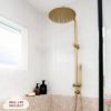 Combination Shower + Straight Sprayer Brushed Brass