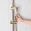 Combination Shower + Straight Sprayer Brushed Brass