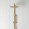 Combination Shower + Straight Sprayer Brushed Brass