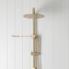 Combination Shower + Straight Sprayer Brushed Brass