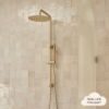 Combination Shower + Straight Sprayer Warm Brushed Nickel