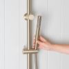 Combination Shower + Straight Sprayer Warm Brushed Nickel