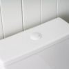 Curved Back-To-Wall Toilet Suite