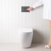Curved In-Wall Toilet With Round Matte Black Buttons