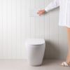 Curved In-Wall Toilet With Rectangle Matte White Buttons