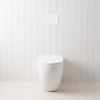 Curved In-Wall Toilet With Rectangle Matte White Buttons