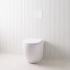 Curved In-Wall Toilet With Rectangle Matte White Buttons