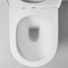Curved In-Wall Toilet With Rectangle Stainless Steel Buttons
