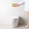 Curved In-Wall Toilet With Rectangle Brushed Brass Buttons