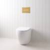 Curved In-Wall Toilet With Rectangle Brushed Brass Buttons